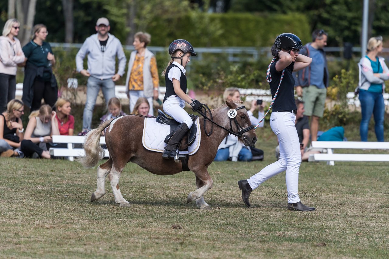 Bild 11 - Pony Akademie Turnier